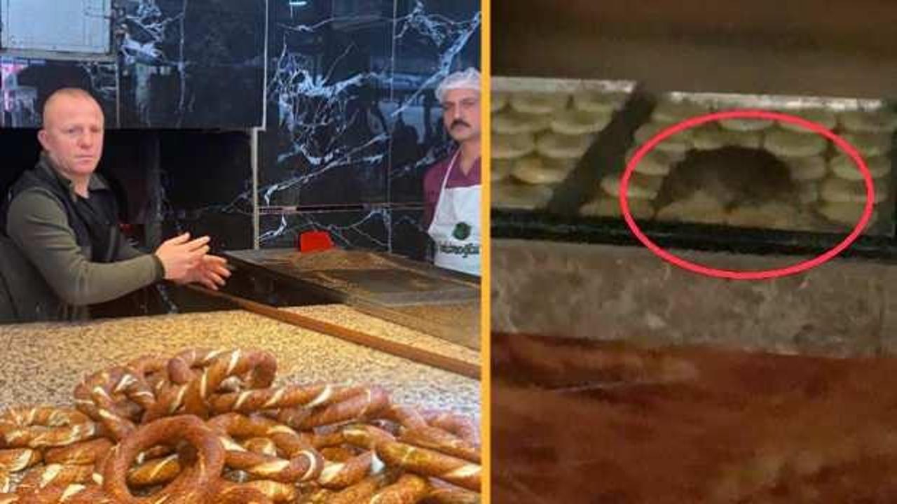 G&ouml;r&uuml;nt&uuml;ler T&uuml;rkiye&rsquo;yi sarsmıştı! Fırında gezen fare 1 milyon liralık masraf &ccedil;ıkardı