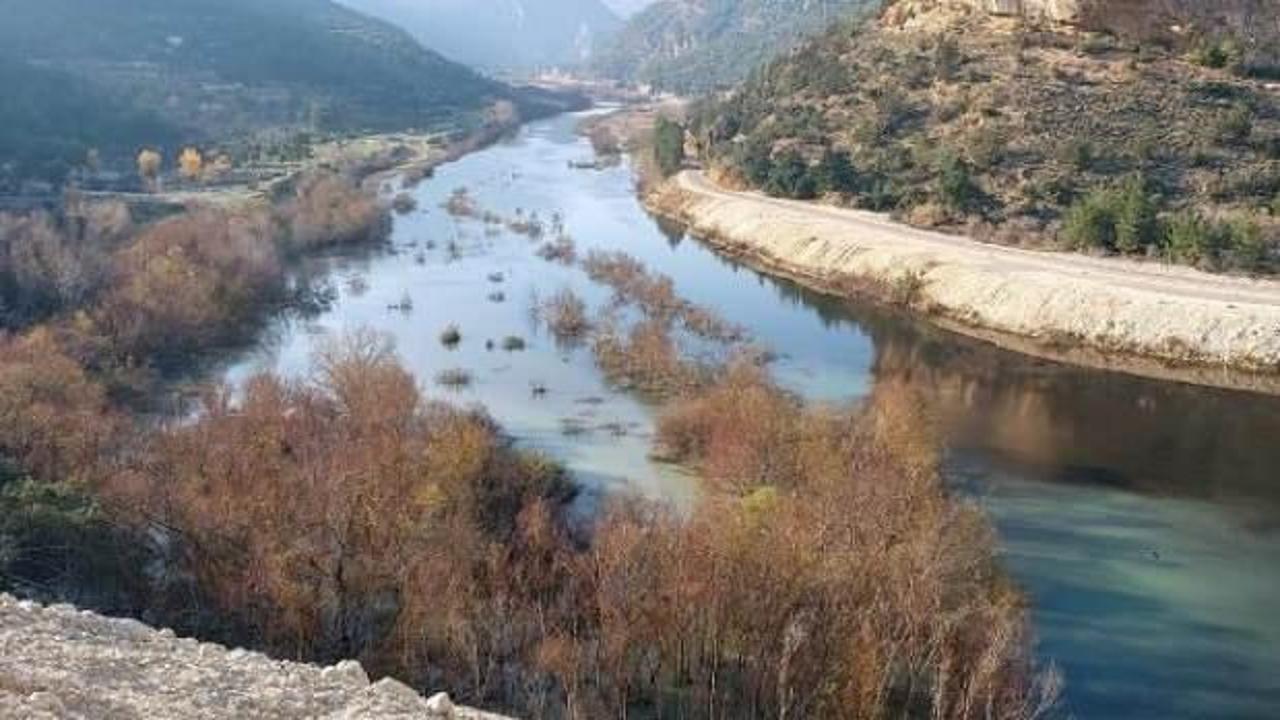 Mersin'de korkutan görüntü! Yeniden siyaha döndü