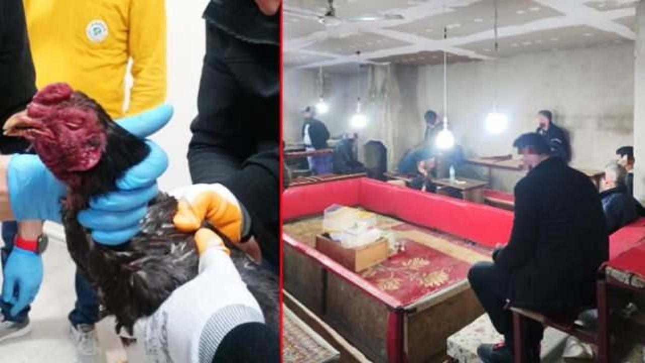 Manisa'da Hayvanları Koruma Derneğine baskın yapan ekipler g&ouml;rd&uuml;klerine inanamadı!