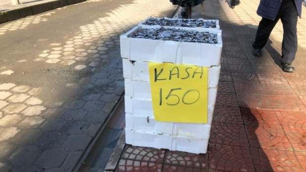 Rize'de hamsi kampanyası: 15 kiloluk kasa 150 TL'den satılıyor