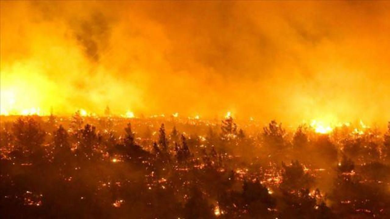 Şili'de orman yangınları: Ölü sayısı 13'e yükseldi