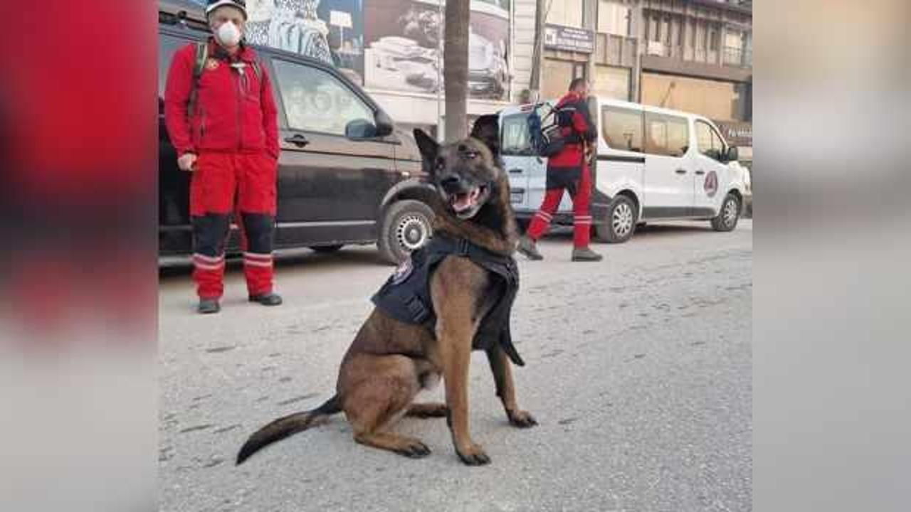 Bosna Hersek'ten gelen "Atos" 3 kişinin yerini tespit etti