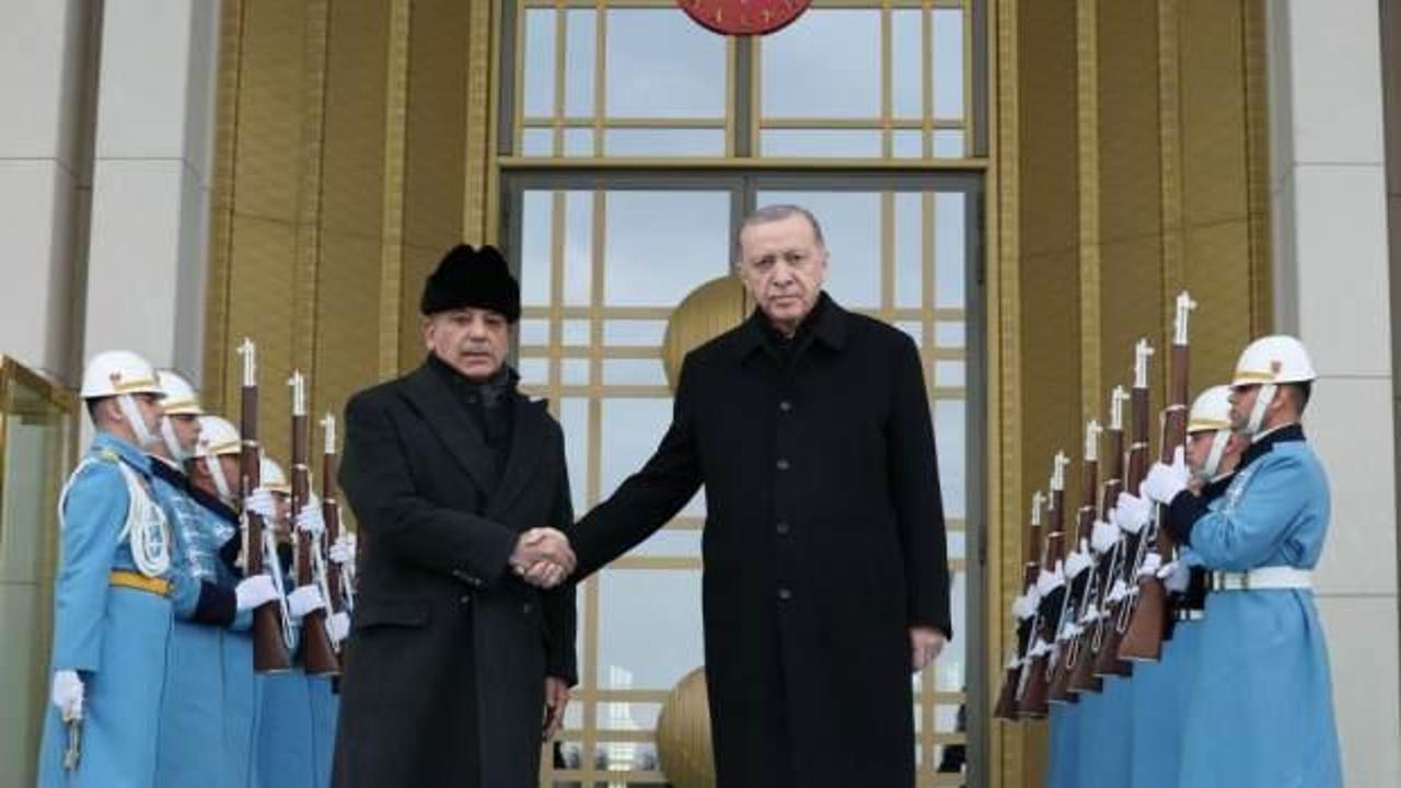 Başkan Erdoğan, Şahbaz Şerif'i Kabul etti 
