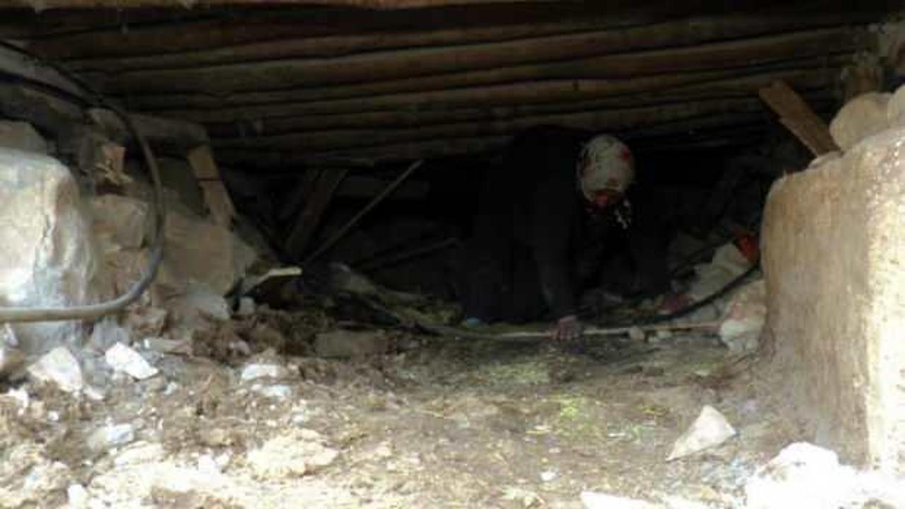 S&uuml;r&uuml;nerek girip enkazın altındaki ineğini besliyor