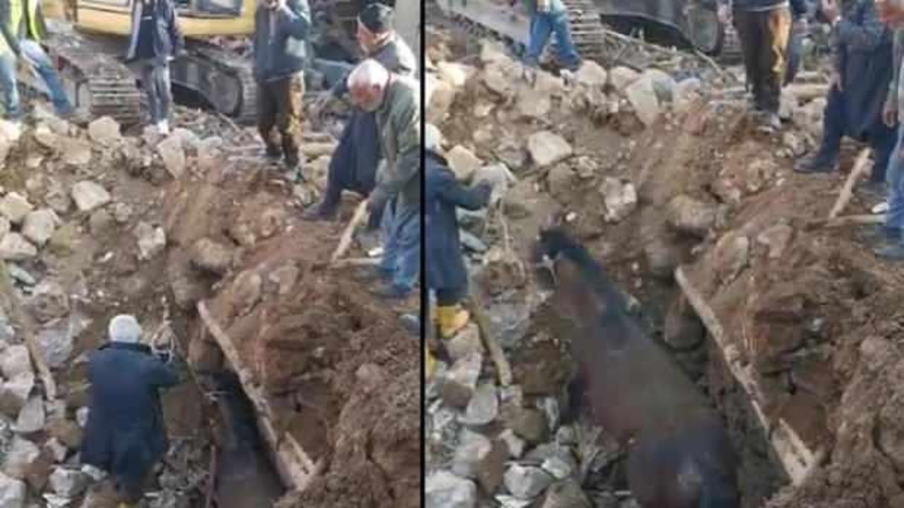 21 g&uuml;n sonra enkazdan canlı &ccedil;ıkartıldı