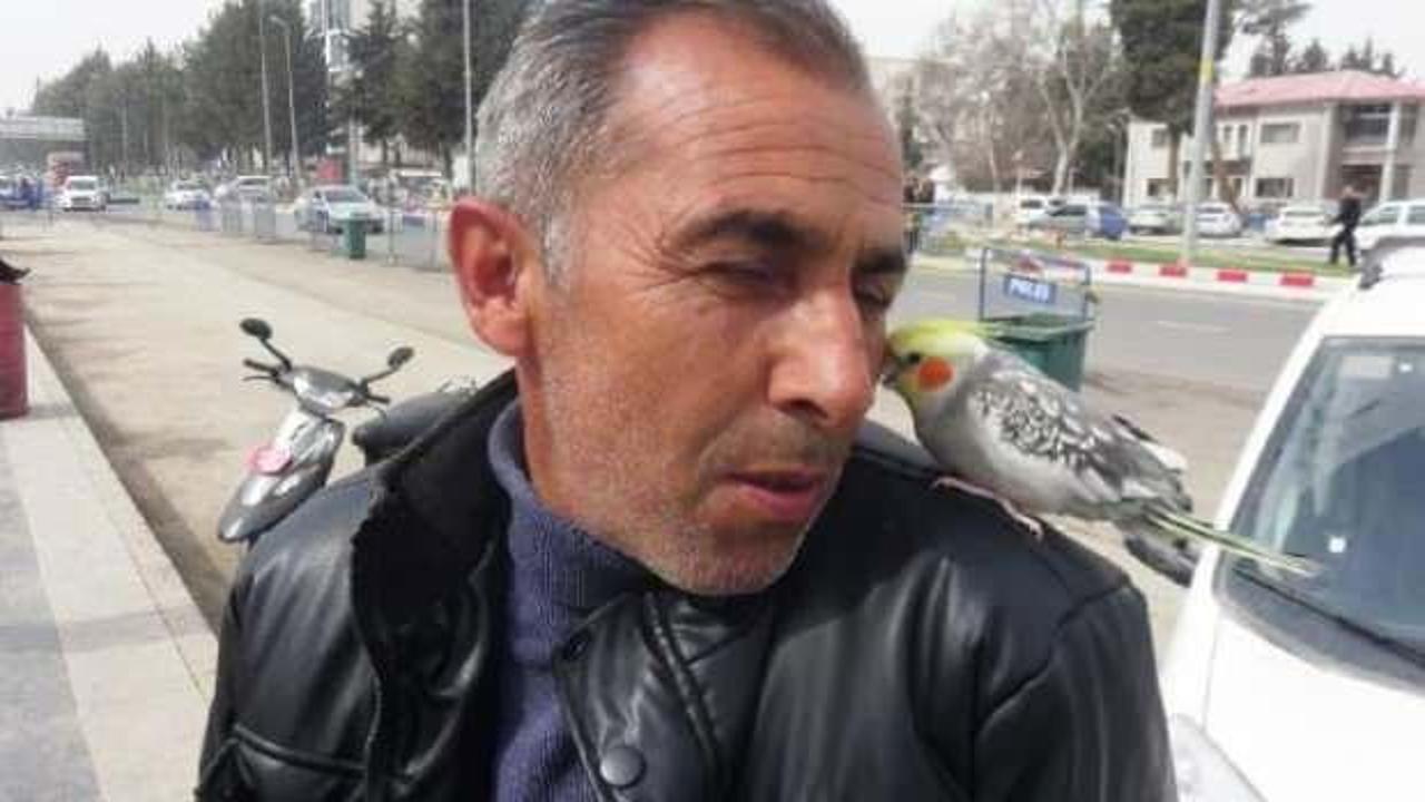 Enkazdan kurtardığı papağan, omzundan inmiyor
