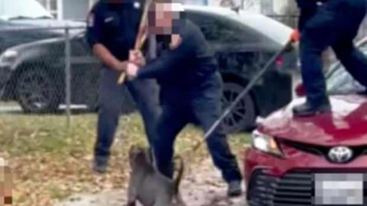 ABD'de yaşlı bir adamı öldüren köpeğin sahibine tutuklama 