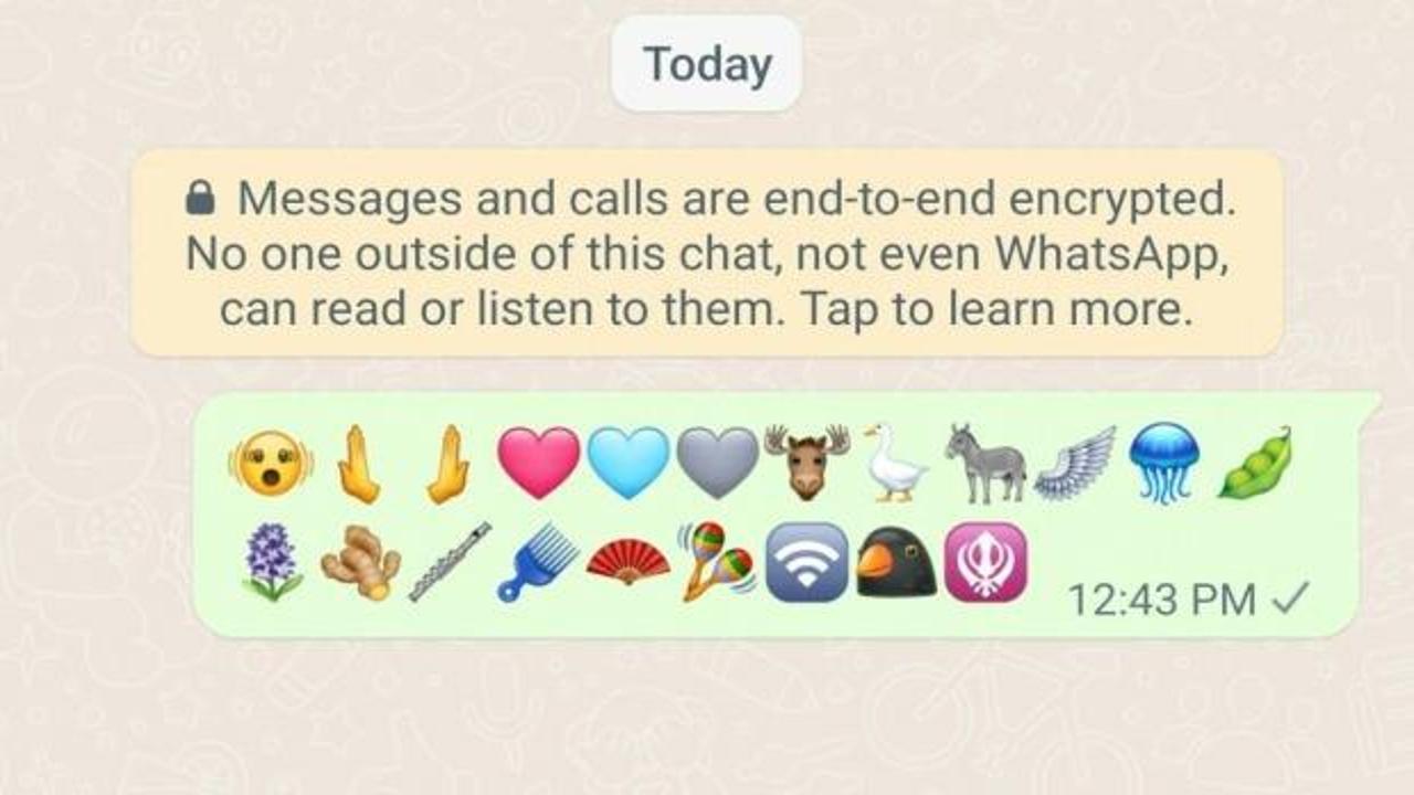 WhatsApp yeniliklere doymuyor: 21 yeni emoji yolda