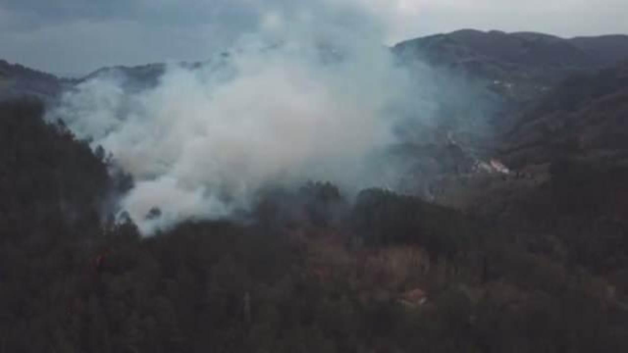 Kastamonu'da sigara izmariti ormanlık alanda yangın çıkardı