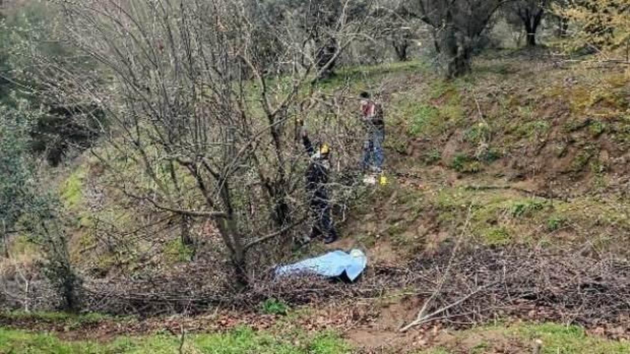 Ayva ağacını budamak isterken canından oldu