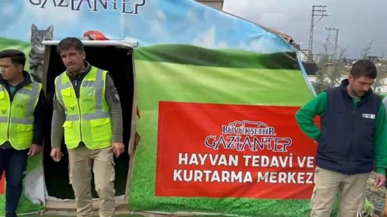 Gaziantep B&uuml;y&uuml;kşehir Belediyesi can dostlarımızı unutmadı! 
