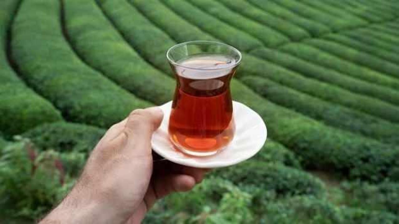 İki ayda 3,2 milyon dolarlık çay ihracatı