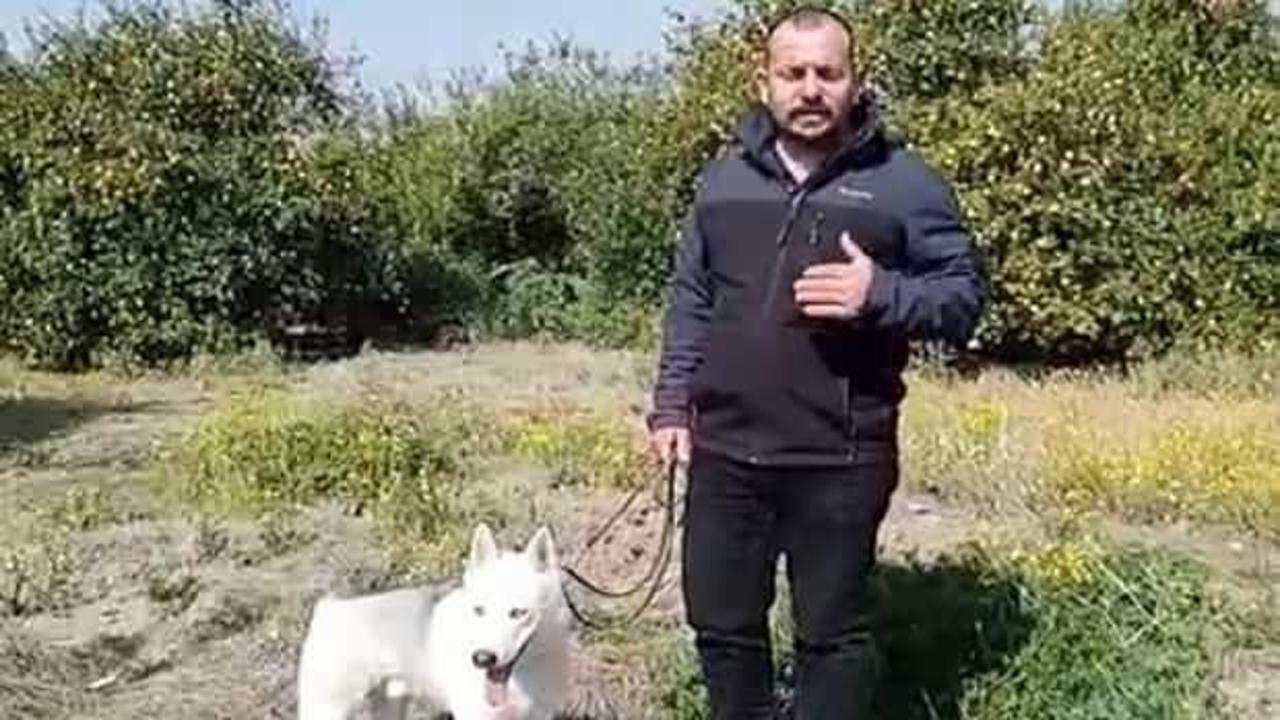 Konteyner almak isteyen depremzedeyi dolandırdılar