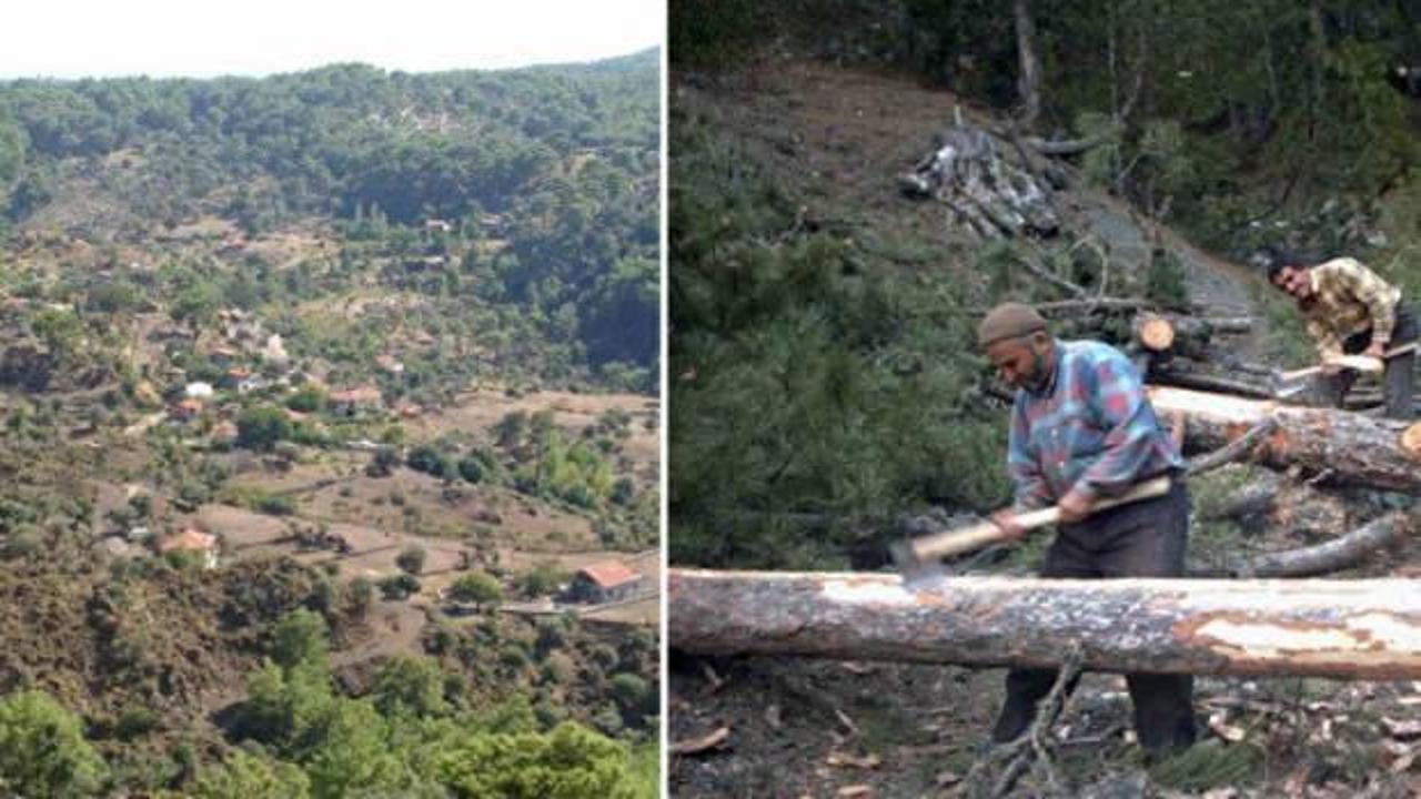 Orman köylüsüne kerestede yüzde 70 indirim