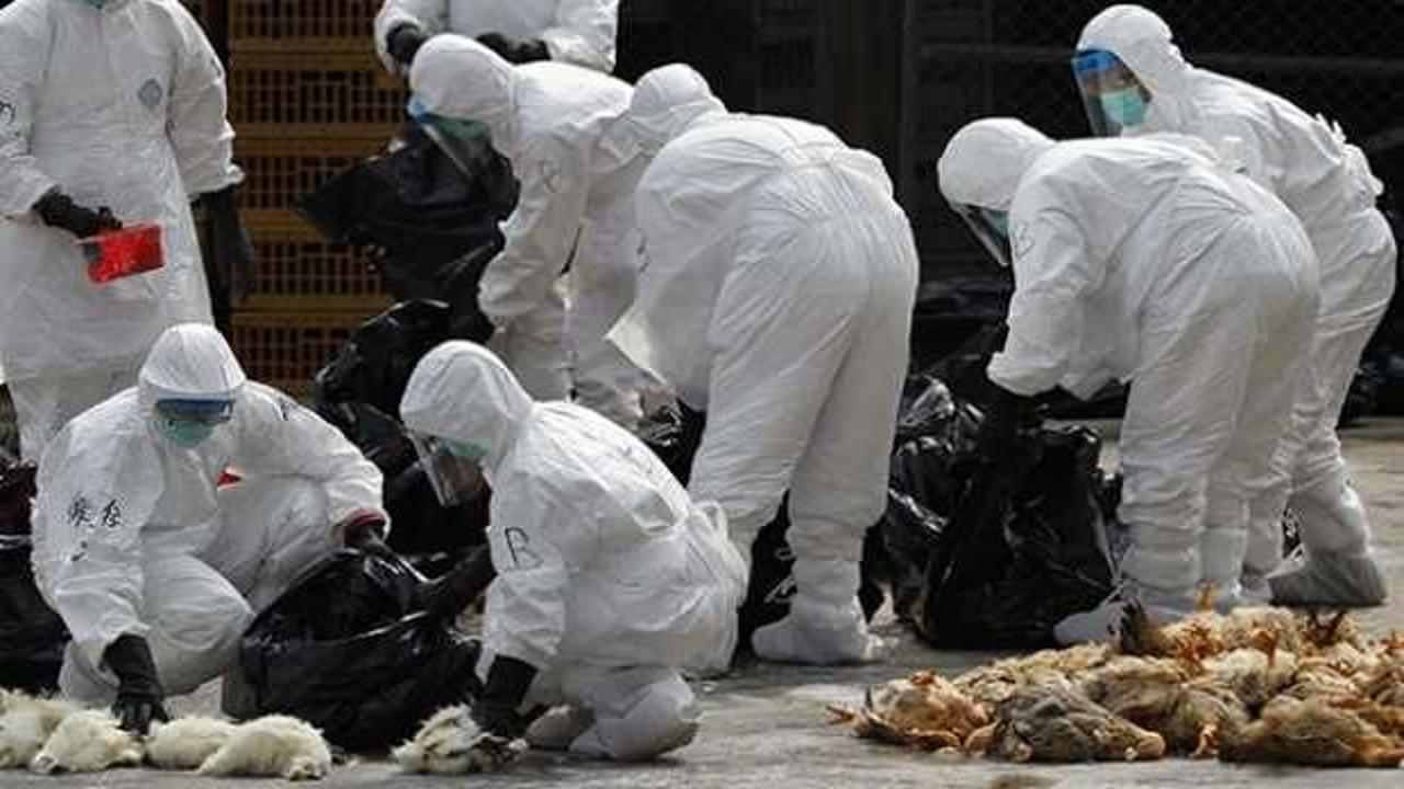 Çin'den DSÖ'ye korkutan bildiri: Virüsün bulaştığı bir kişi öldü!