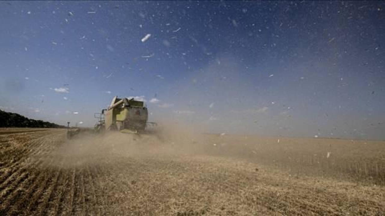 AB Ukrayna'dan tahıl ithalatını sürdürmeye çalışıyor
