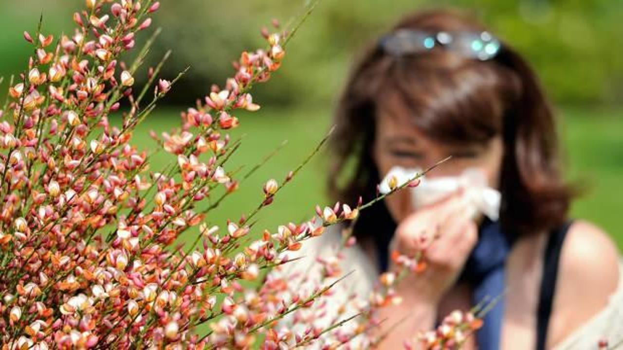 Bahar alerjisine ne iyi gelir? Bahar alerjisi nasıl geçer? 