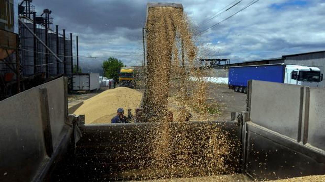 Slovakya Ukrayna'dan tahıl ithalatına yasak getirdi