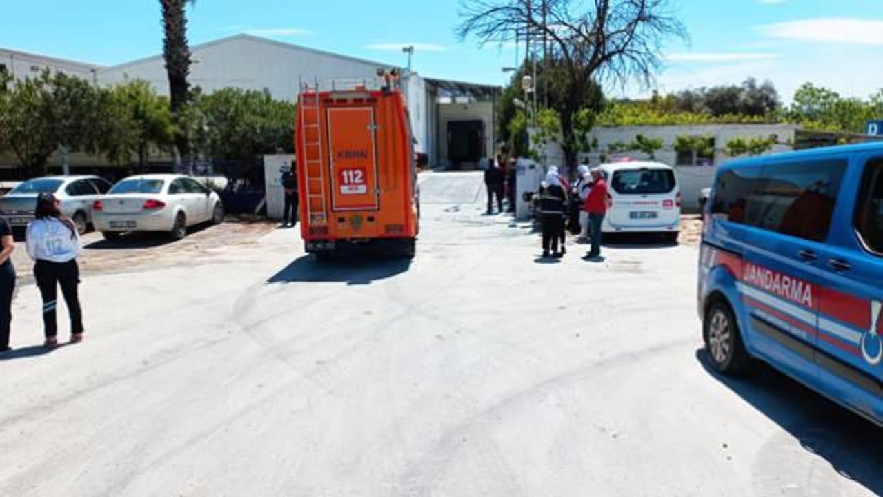 Aydın'da amonyak gazından zehirlenen kadın iş&ccedil;i hayatını kaybetti