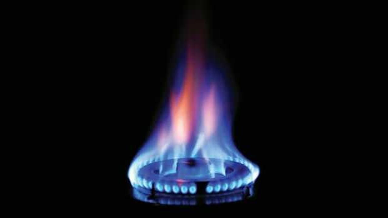 Erdoğan'ın a&ccedil;ıkladığı &uuml;cretsiz gaz m&uuml;jdesi Resmi Gazete'de