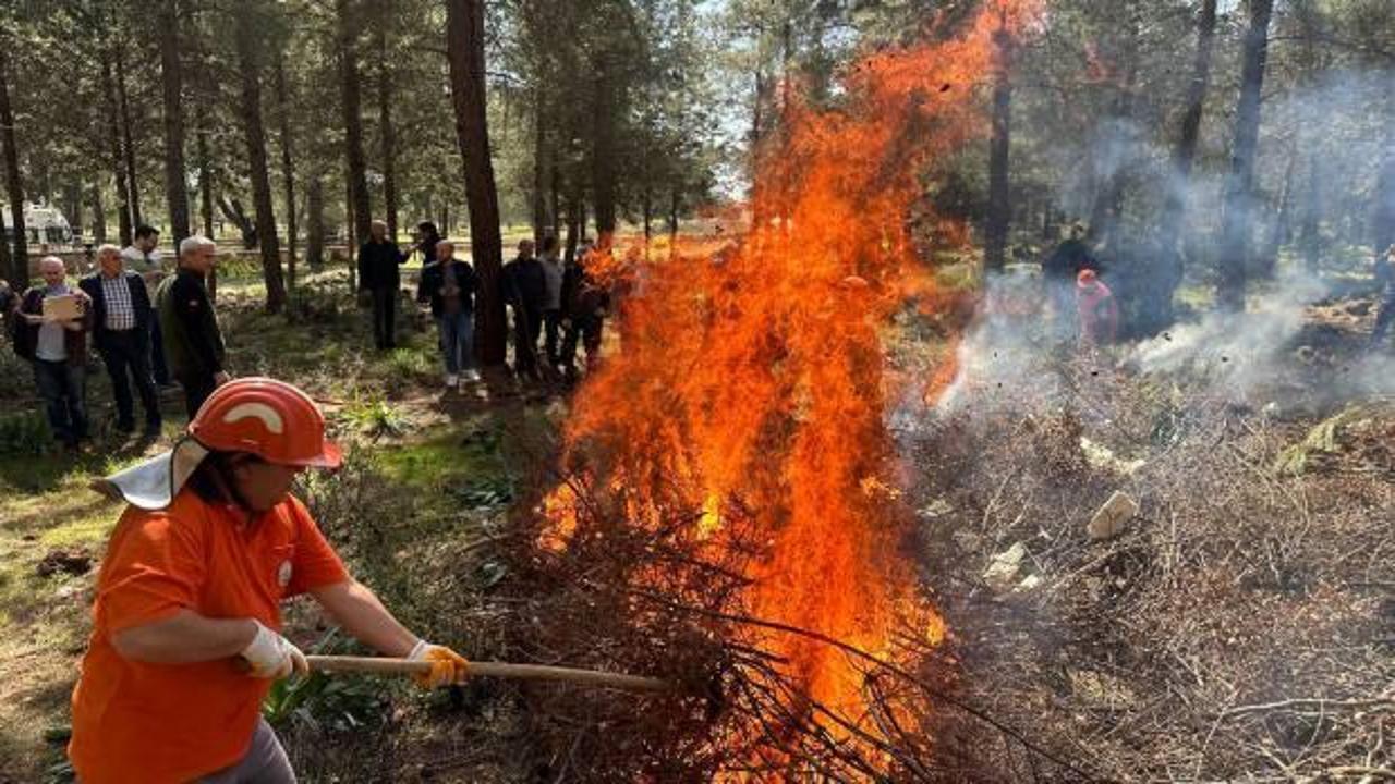 Orman yangın sezonu başladı: Açıkta ateş yakmak yasak!