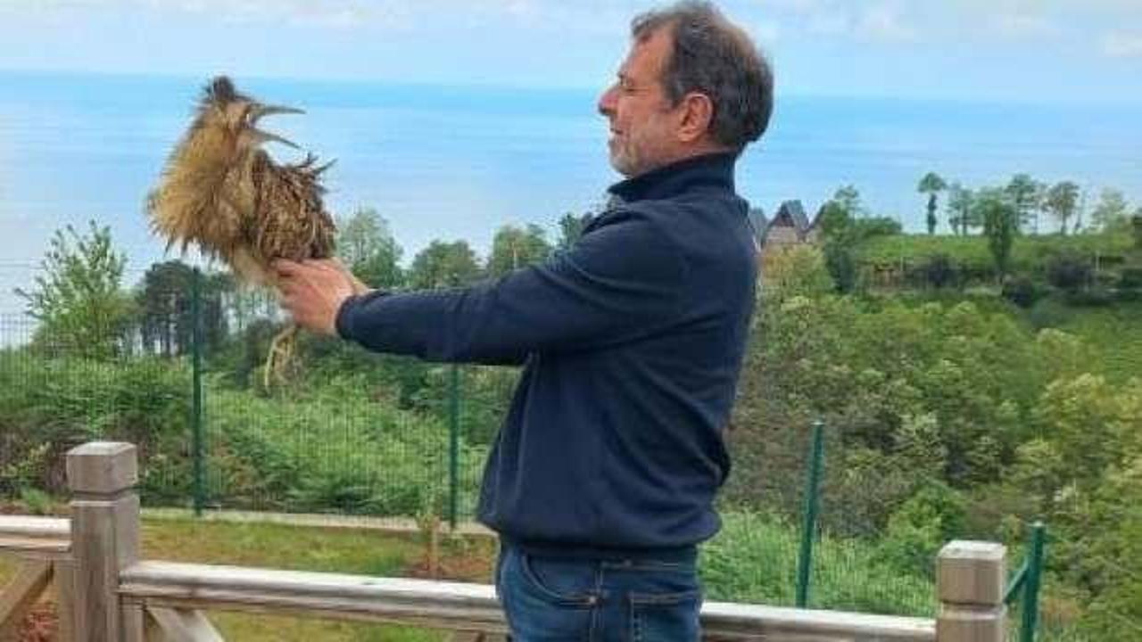 Artvin'de bitkin halde bulundu! D&uuml;nyada nesli t&uuml;keniyor...