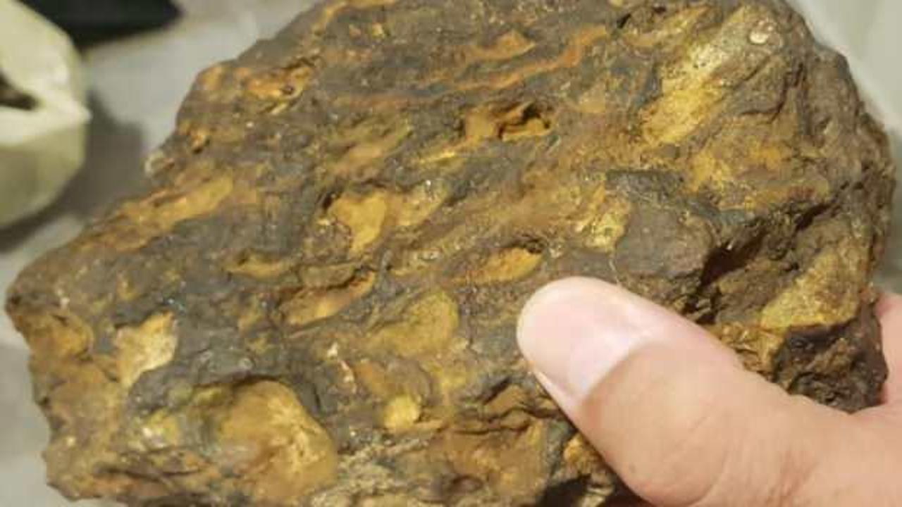 Kırklareli&rsquo;de doğa y&uuml;r&uuml;y&uuml;ş&uuml; yaparken g&ouml;ktaşı buldular