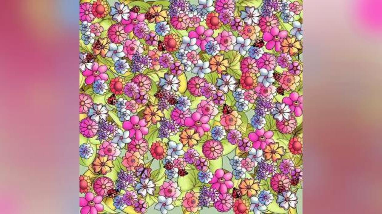 Rengarenk zeka testi! Çiçeklerin arasında saklanan kelebeği bulmanız içiz sadece 6 saniye süreniz var