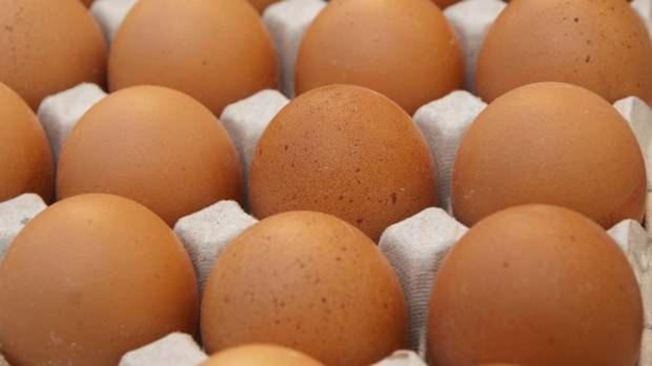 ABD'de yumurta fiyatlarında büyük düşüş