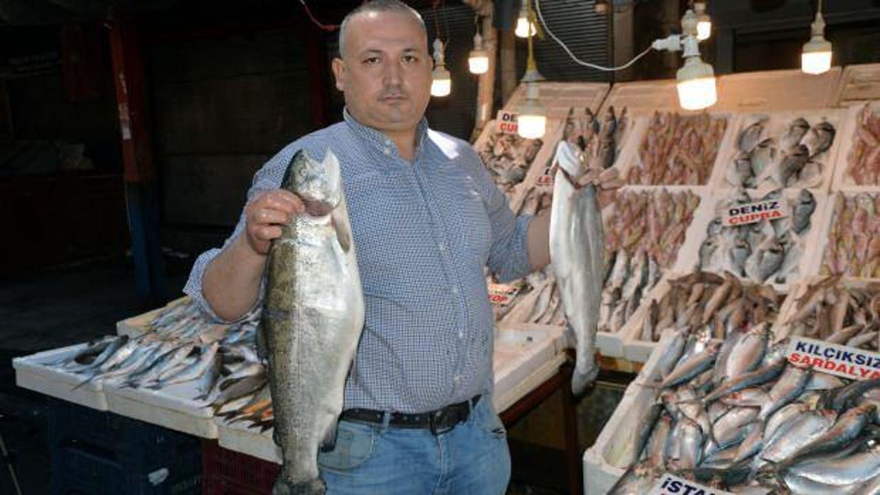 Av yasağından sonra balık fiyatları arttı