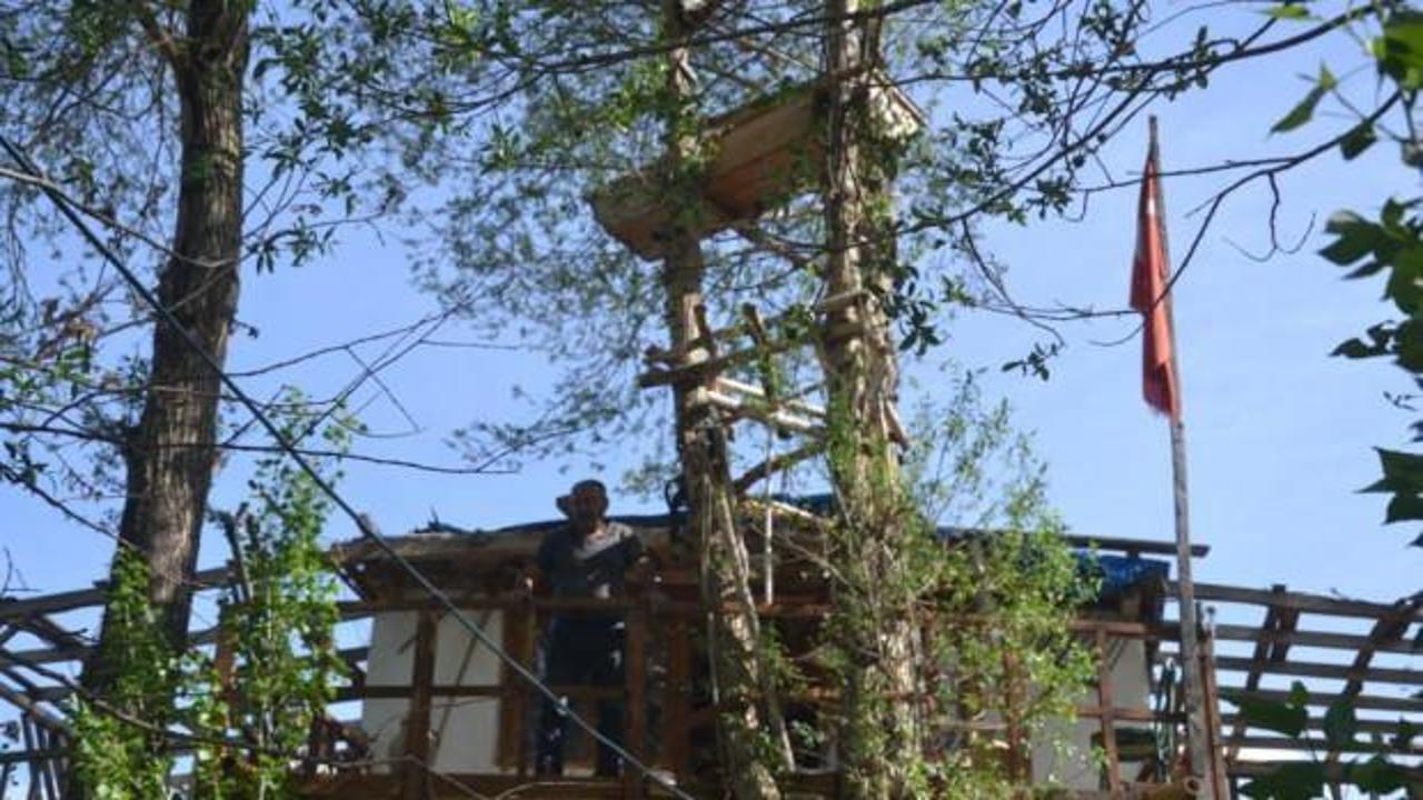 G&ouml;renler şaşıp kalıyor! Ağacın dallarına yerleştirdi