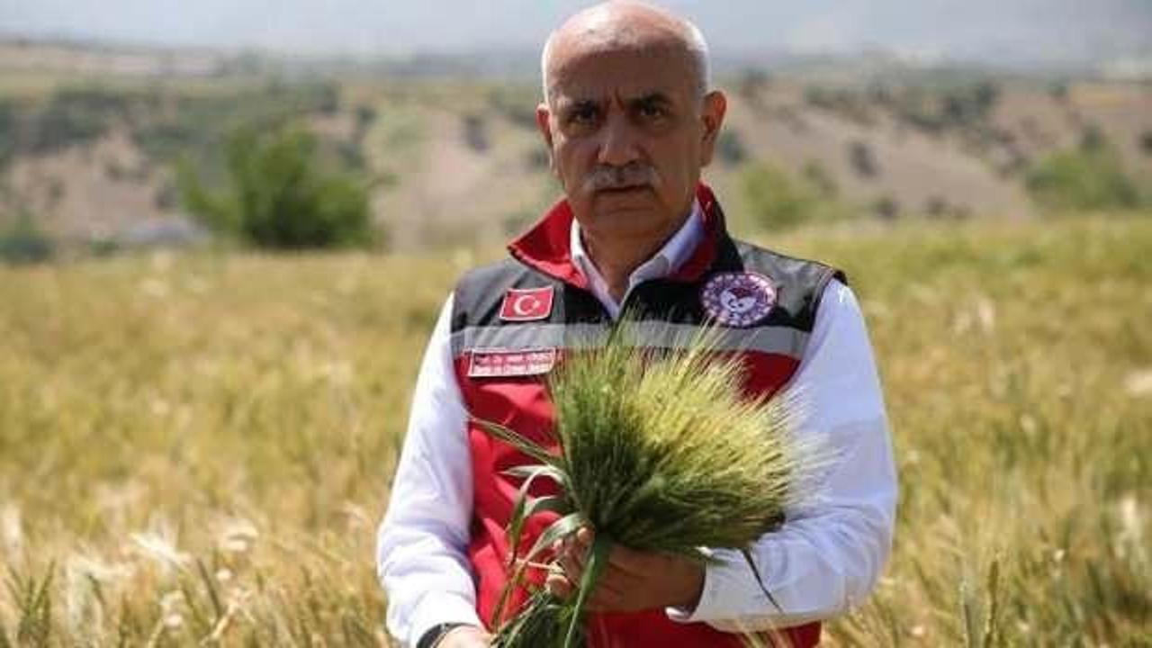 Bakan Vahit Kirişci'den buğday fiyatı a&ccedil;ıklaması