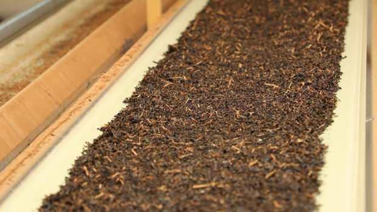 Çay ihracatı 4 ayda 11,3 milyon doları aştı