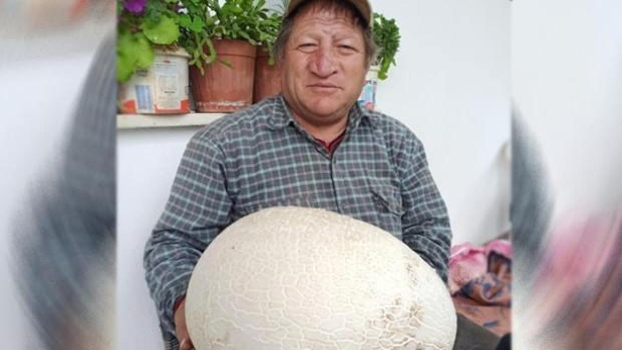 Dağa mantar toplamaya giden &ccedil;ift&ccedil;i: "Hayatımda ilk kez g&ouml;r&uuml;yorum"