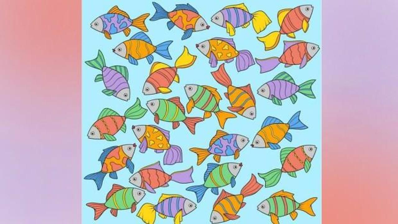 25 saniyede akvaryumdaki tek balığı bulabilen neredeyse yok! Süreyle boğuşacağınız zeka testi için nefesler tutuldu