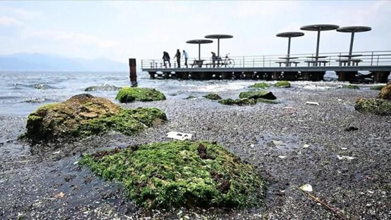 İzmir K&ouml;rfezi i&ccedil;in kirlilik uyarısı