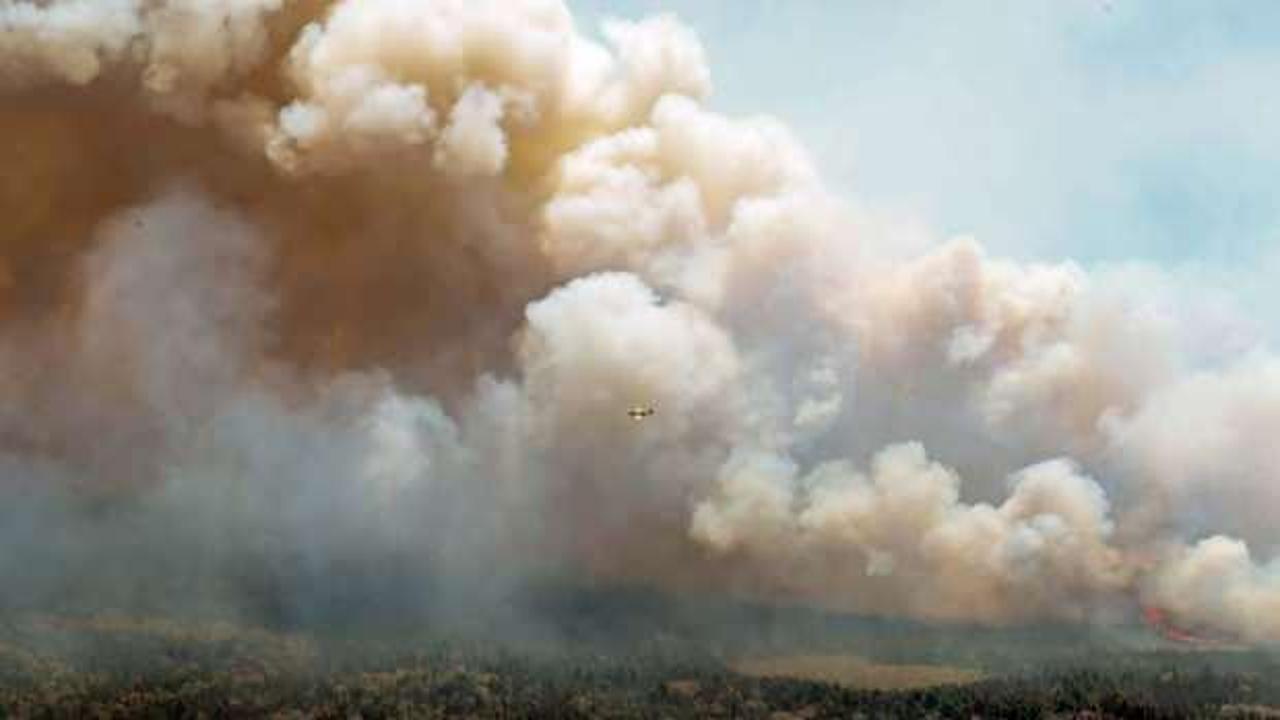 Kanada'da orman yangını: Ordu sahaya indi!