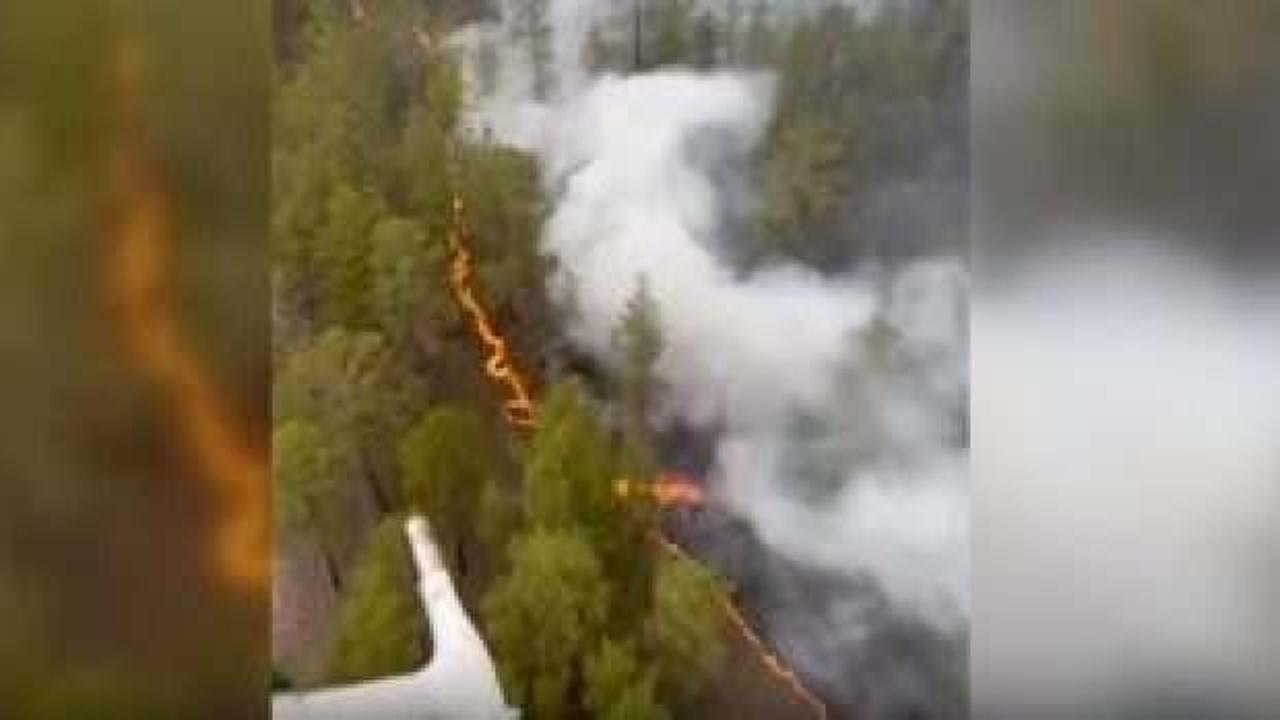 Kazakistan'da orman yangını: 14 işçi hayatını kaybetti
