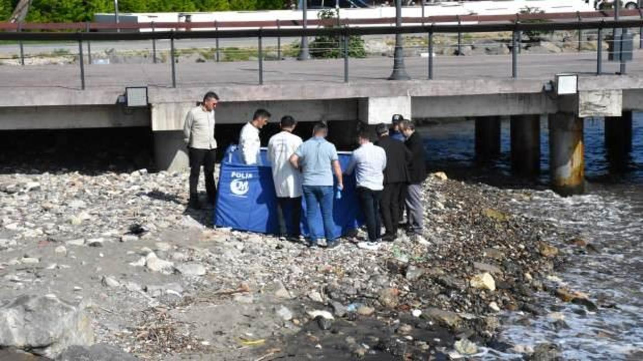 Mektup telefonundan &ccedil;ıktı: Her şeyimi yeğenime verin!