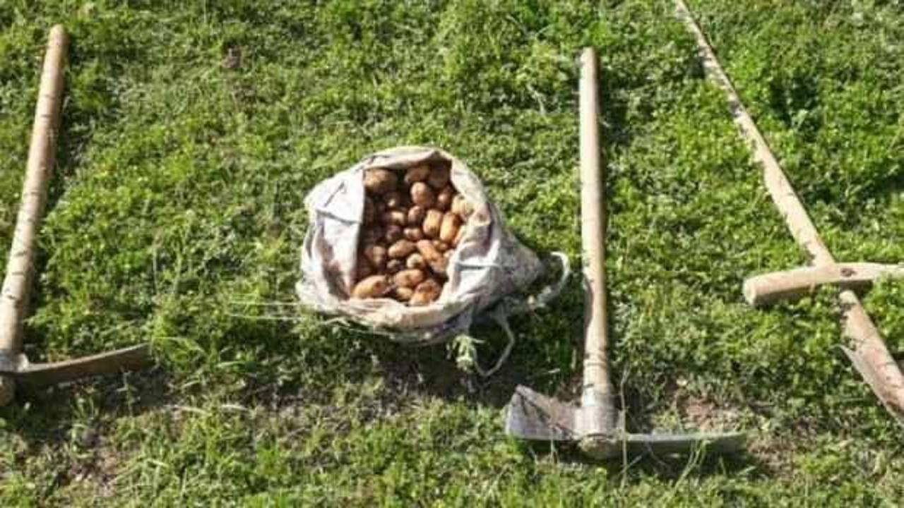 Salep soğanı toplayan kişilere 1 milyon 518 bin lira ceza