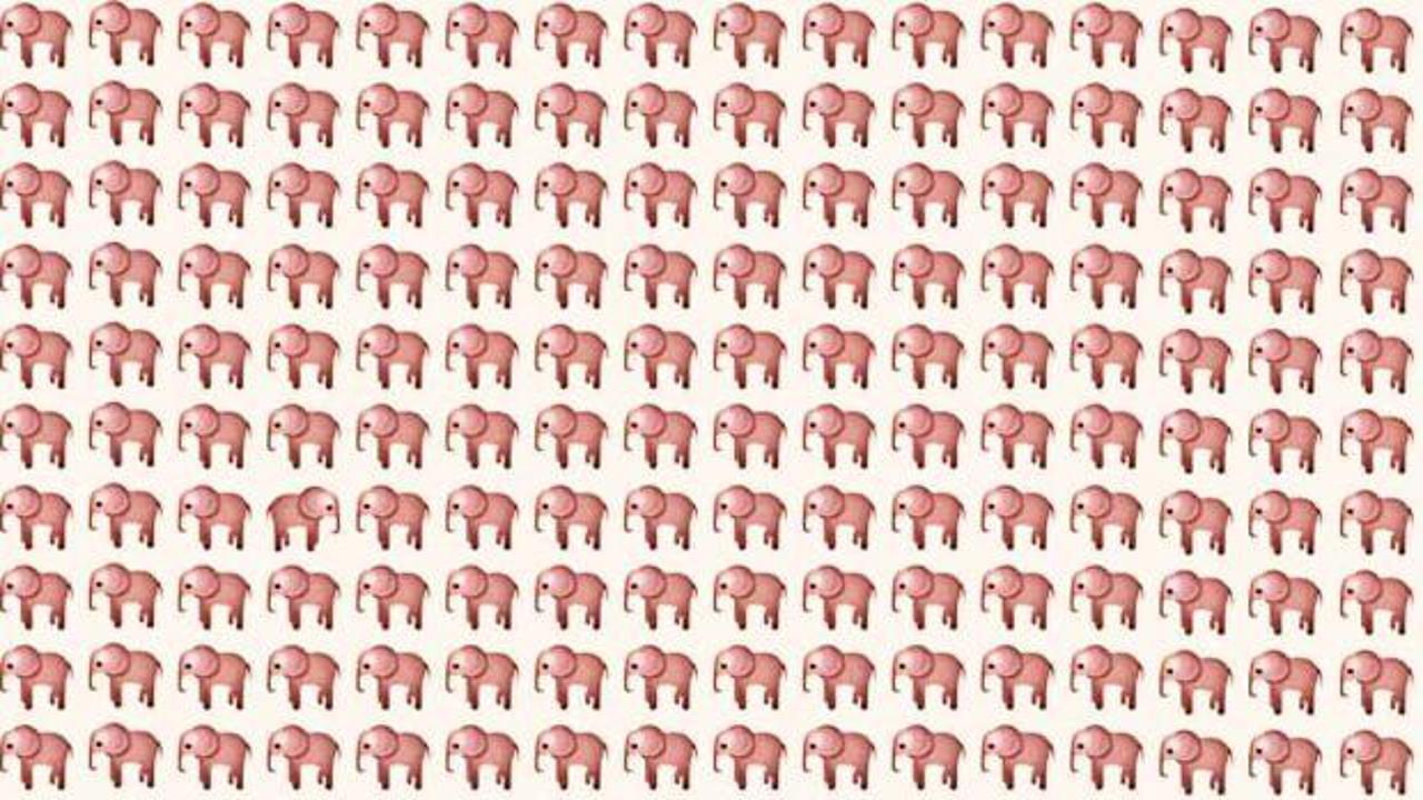 Yalnızca keskin gözlüler tarafından yapılabilen zeka testi! 7 saniyede farklı olan fili bul