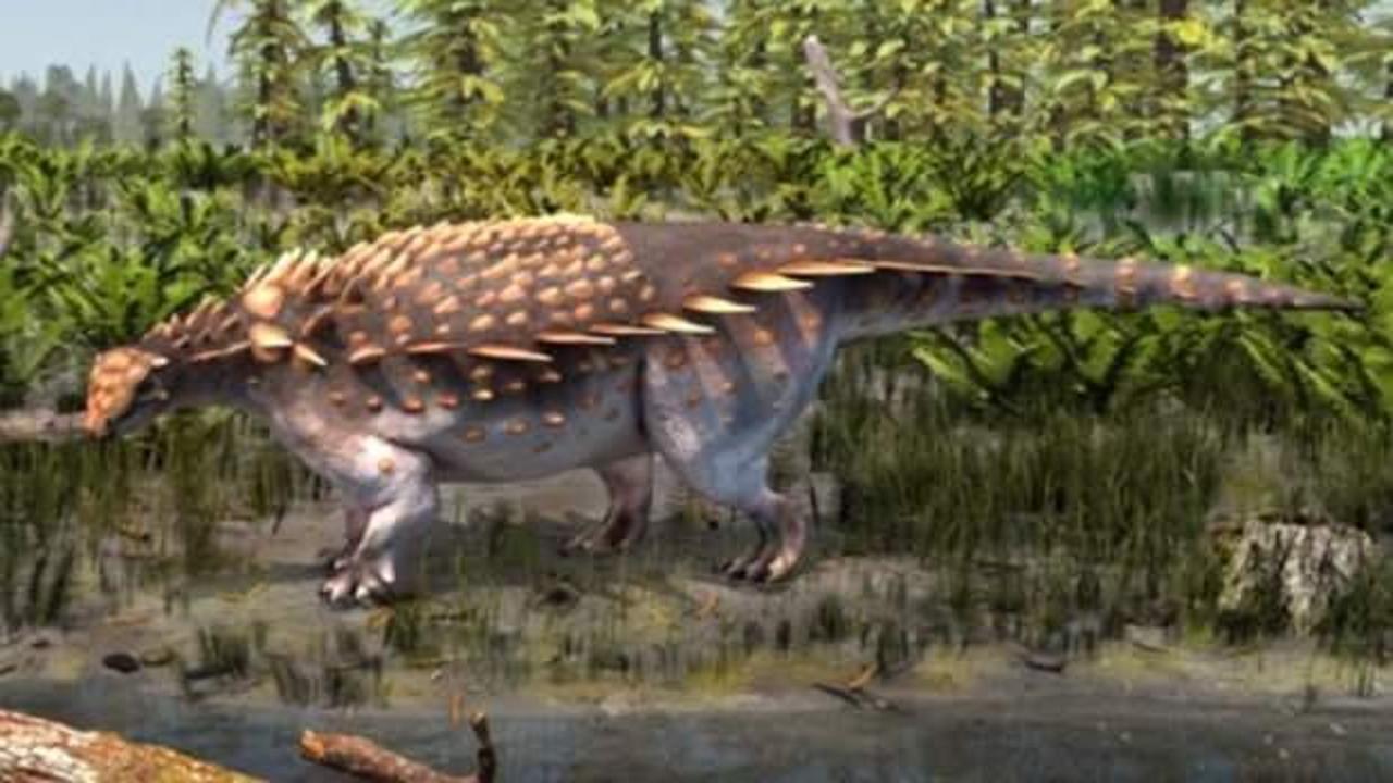 Britanya'da yeni bir dinozor türü keşfedildi