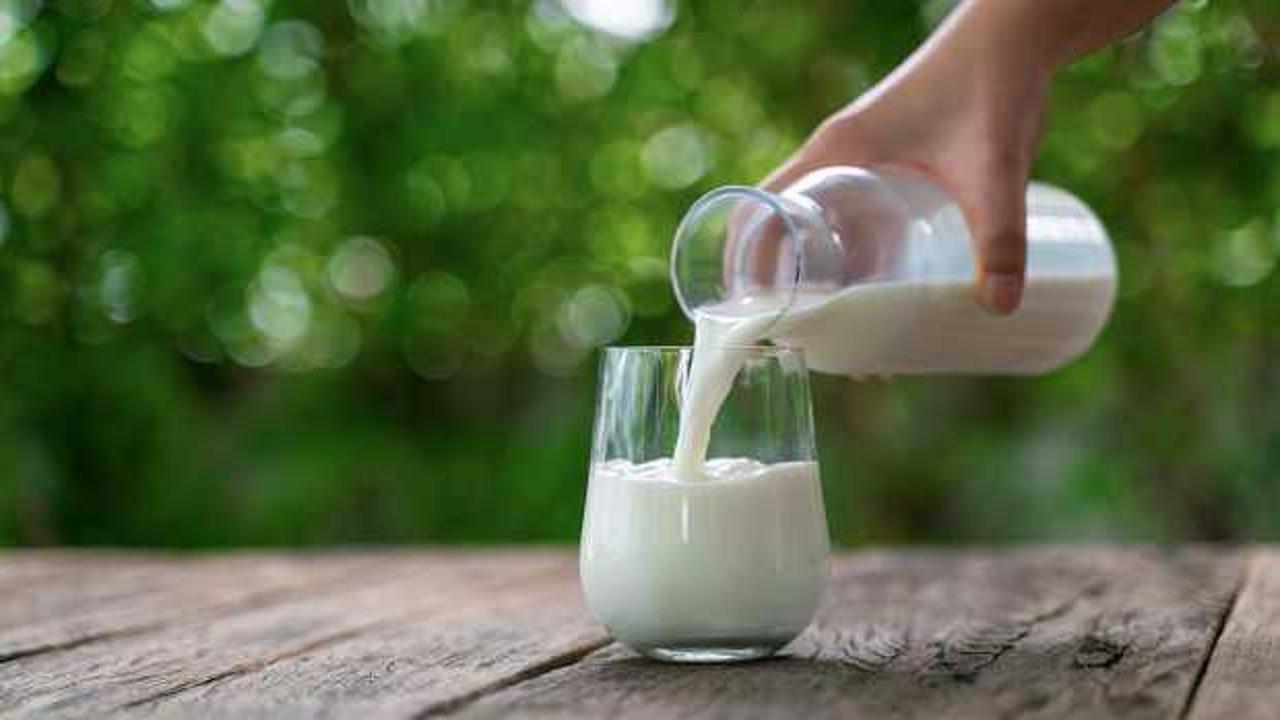 Toplanan inek sütü miktarı yüzde 2,4 arttı