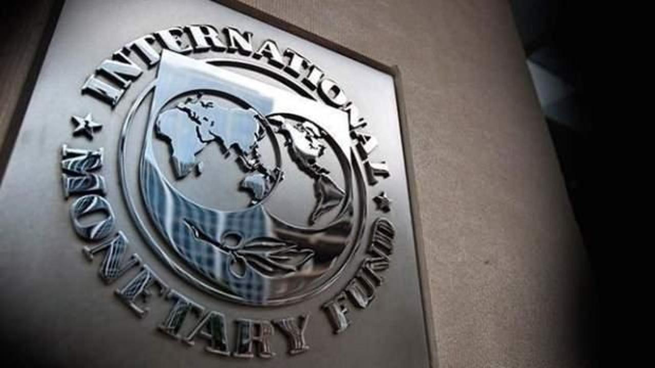 IMF'den dijital para birimi platformu