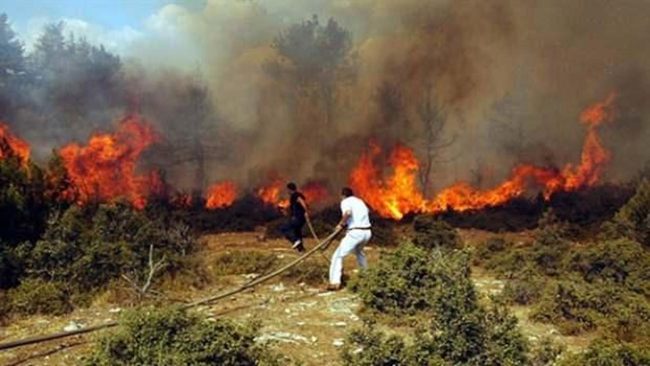 Meksika'da orman yangını sezonu başladı... 9 farklı noktada birden ateş aldı
