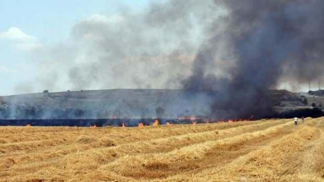 Edirne'de 250 dönüm buğday tarlası yandı