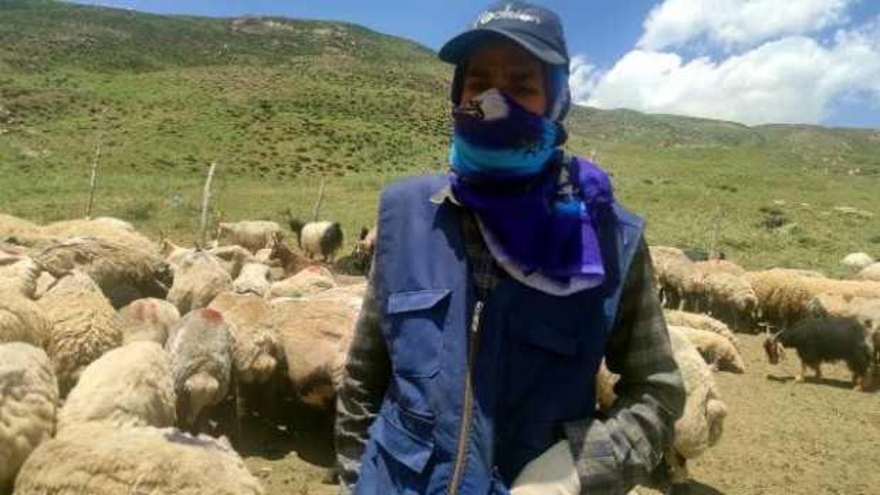Hakkarililer, yerli bulamayınca 20 bin TL'ye İran'dan çoban getirdi