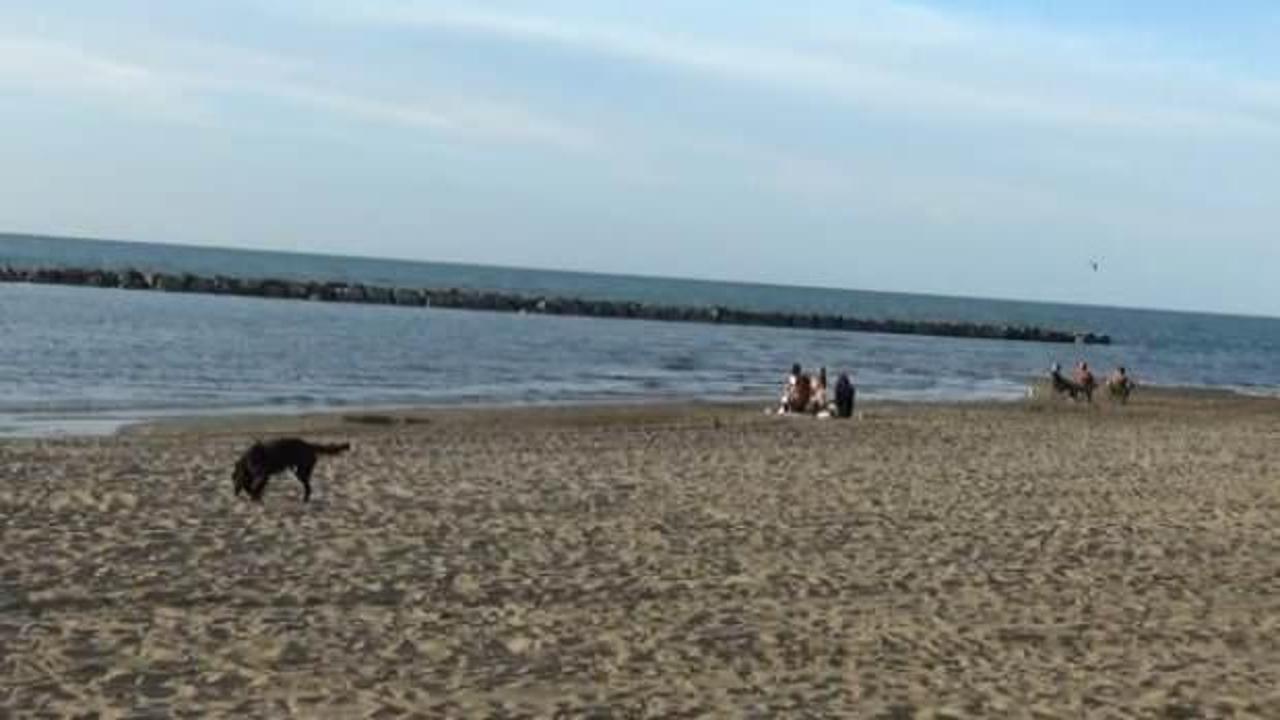 Karadeniz'de 'rip' tehlikesi: 304 can kaybı