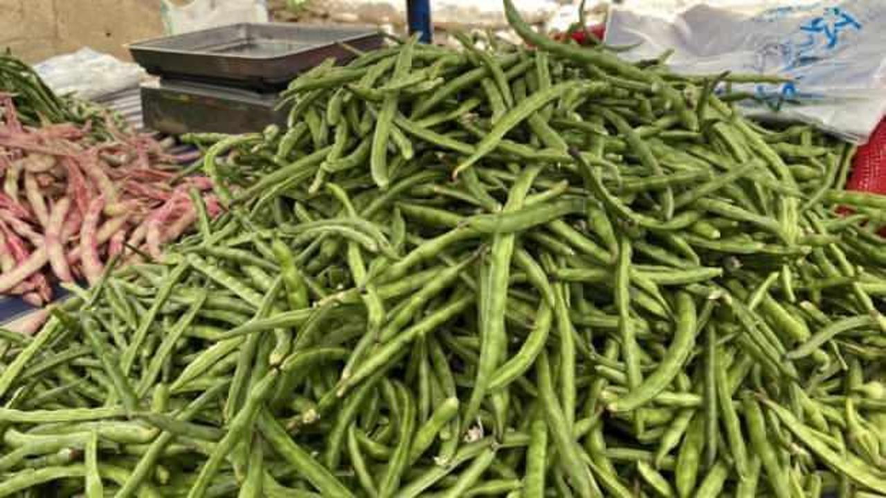 Türkiye’nin Börülce merkezi Muğla