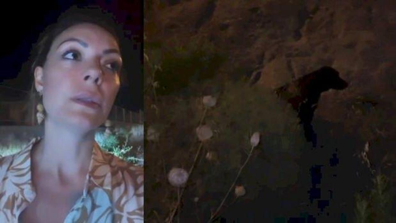 Oyuncu Özge Özder ile CHP'li başkan tepki çekti! Kaza yapan motosikletliyi umursamadılar